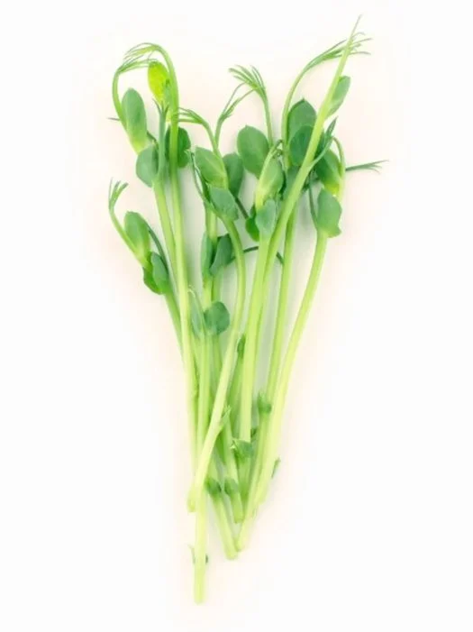 Горох пророщений мікрогрін в боксі (Під замовлення) - Зображення 2