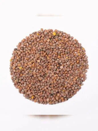 Насіння Редиска зелена для мікрозелені (мікрогрін) 50г.