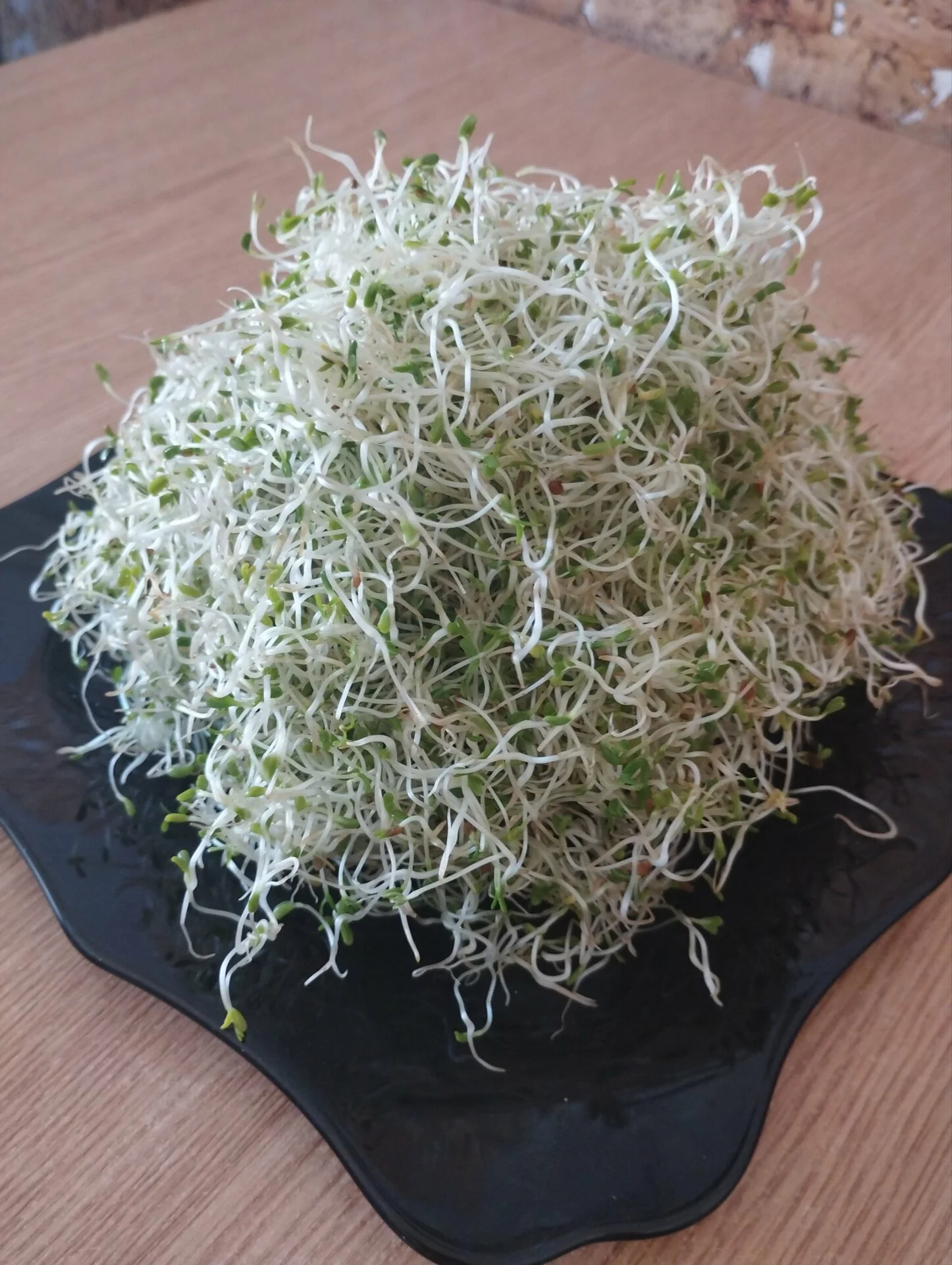 Люцерна мікрозелень мікрогрін 200г. - Зображення 2